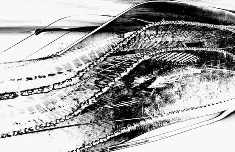 ChrisJunkin_2002_Zipper