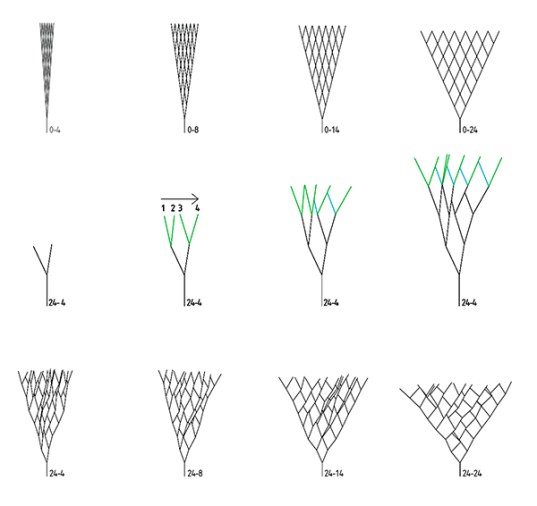 ChrisJunkin_2005_RandomSelection-01