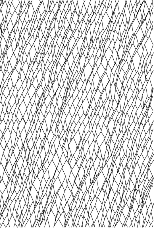 ChrisJunkin_2005_RandomSelection-02